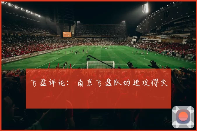 飞盘评论：南京飞盘队的进攻得失