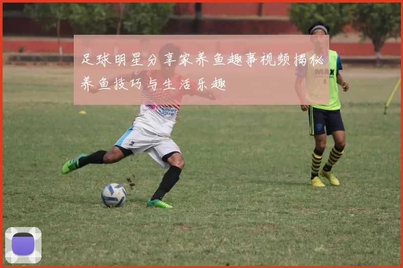 足球明星分享家养鱼趣事视频揭秘养鱼技巧与生活乐趣