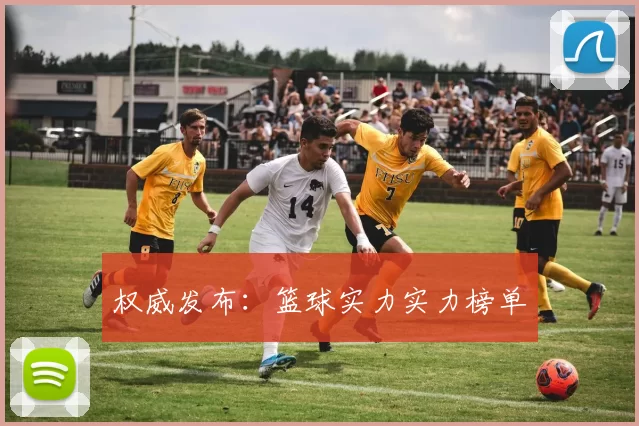 权威发布：篮球实力实力榜单