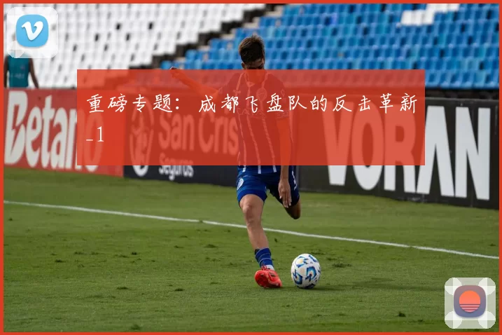 重磅专题：成都飞盘队的反击革新_1